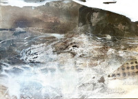 /album/neue-arbeiten/img-8300-jpeg/
